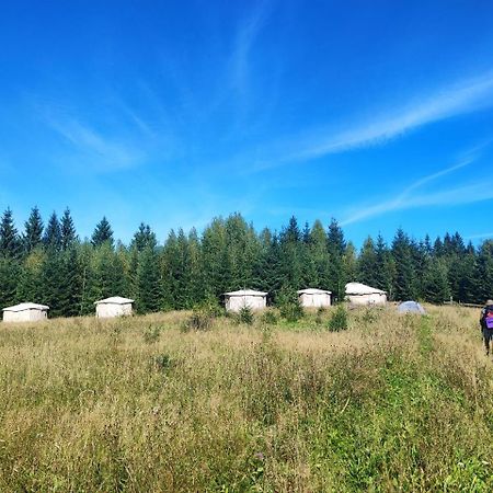 Eco Glamping - Carpathians. Retreat Hub Dzin Space Верховина Экстерьер фото