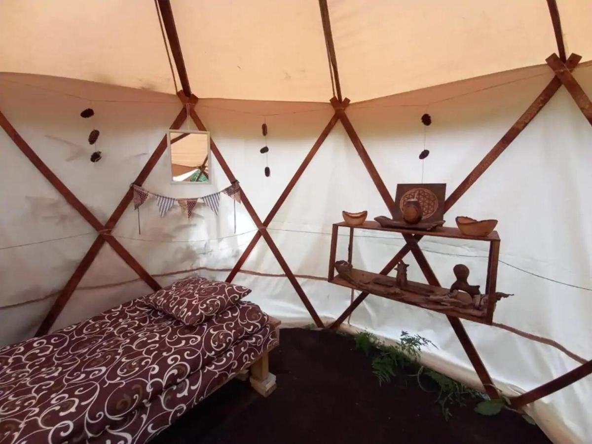 Eco Glamping - Carpathians. Retreat Hub Dzin Space Верховина Экстерьер фото