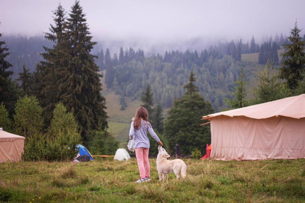 Eco Glamping - Carpathians. Retreat Hub Dzin Space Верховина Экстерьер фото
