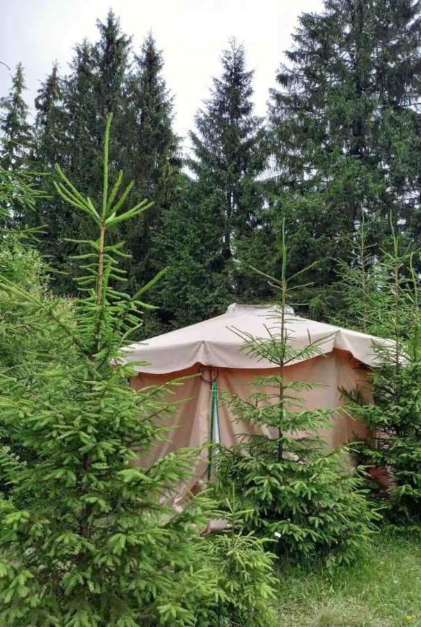 Eco Glamping - Carpathians. Retreat Hub Dzin Space Верховина Экстерьер фото