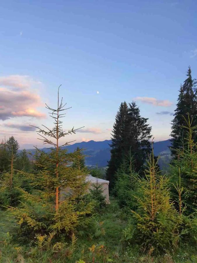 Eco Glamping - Carpathians. Retreat Hub Dzin Space Верховина Экстерьер фото