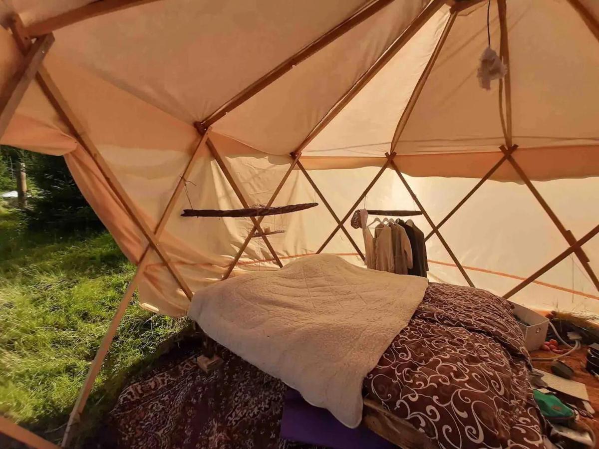 Eco Glamping - Carpathians. Retreat Hub Dzin Space Верховина Экстерьер фото