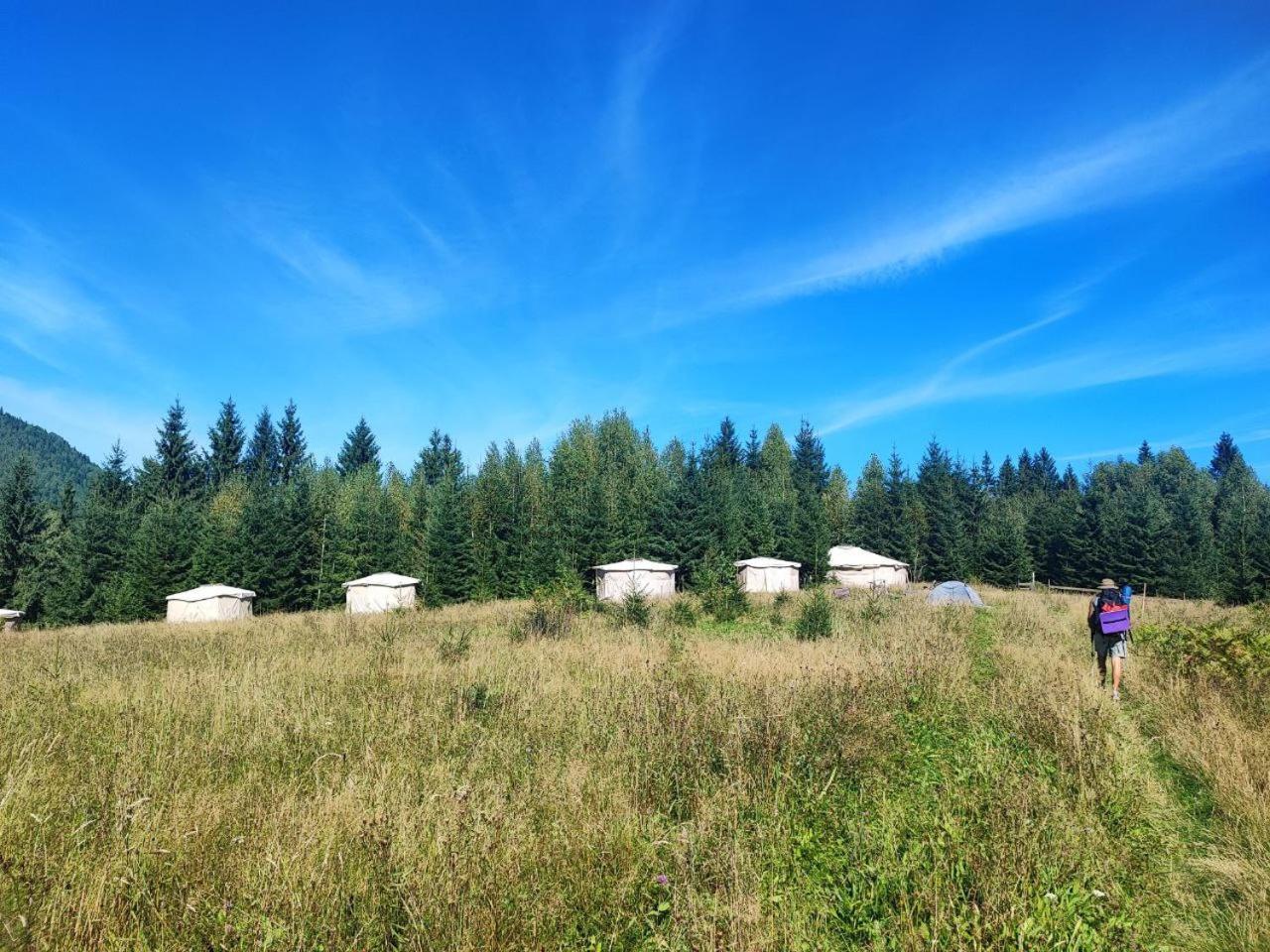 Eco Glamping - Carpathians. Retreat Hub Dzin Space Верховина Экстерьер фото